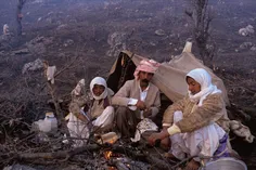 شب سردی است و من افسرده
