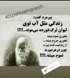 شخصی zizishivamanesh 31179338