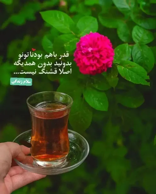 سلام زندگی🌱