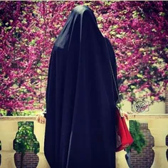 حجاب را یک مهمان خارجی هم به اجبار دارد ولی عفاف اجبار ند
