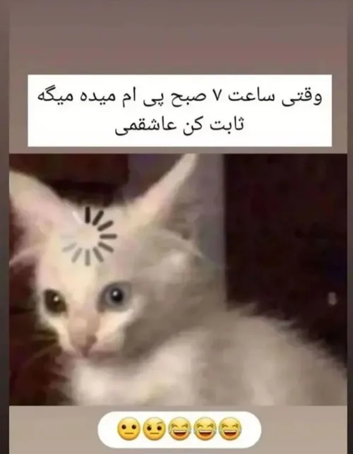 امان از عاشقی😂😂😂