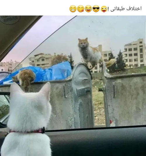 اختلاف طبقاتی فقط این!😜 😋 😂 😄