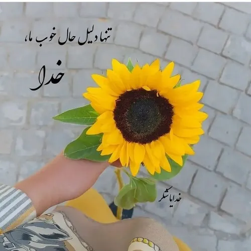 🔻 میدونی چیه رفیق