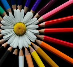 اگر مداد رنگی داشتم 