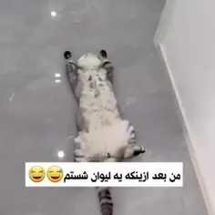 چقدر حق 