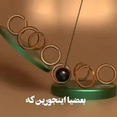 زود پاچه میگیرن 