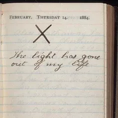 دفتر خاطرات تئودور روزولت 1884