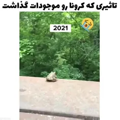 هققق