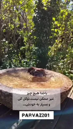 ما خدایی داریم ب بزرگی تمام هستی