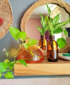 همیشه واسه گلی