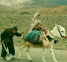 در  روزگار نامردی مردانه زیستن امری ماورائیست ،