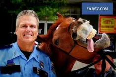 اینم بخاطر ویسگونی ها لطفا لایک بزنید