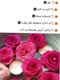 گوناگون sadegh35 19167134