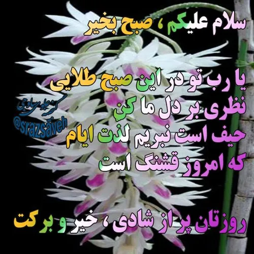 سلام علیکم ، صبح بخیر