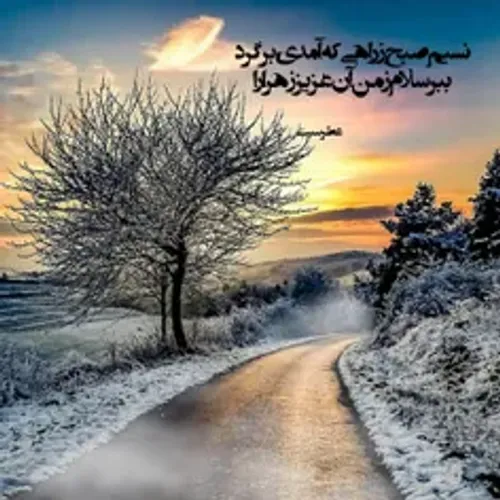 ❤نسیم صبح