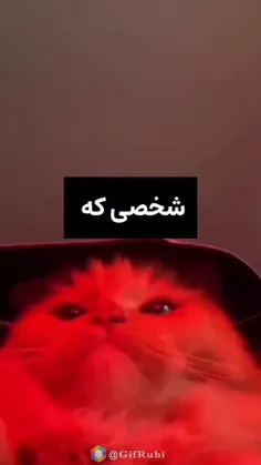 اینم برای همتون که حتی وقتی نبودم حمایتم کردید 🥺💓