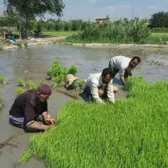 اگه از داشته هات راضی نیستی 