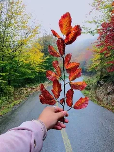 خانه ایی که تو در آن قدم می زنی ...