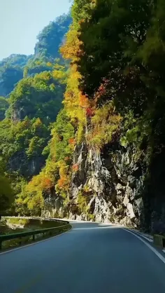 زندگی مثل یه ترن هوایی میمونه.