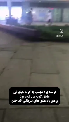 گربه ای شویم🐱🖇🤝