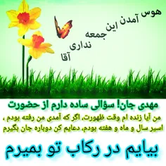 ظهور منجی 