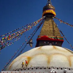 Nepalese workers splash holy color offered by devotees on