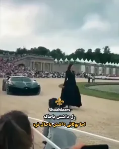 کلیپ های بیشتر در این کالکشن👇