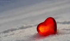قلب یخی