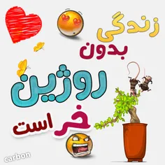 روژین