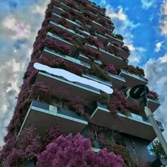 کاشت درختان یاس در تراس یک ساختمان 12 طبقه در هلند