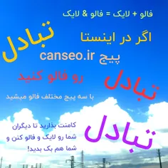 فدلوور و لایک در اینستا و ویسگون / canseo.ir