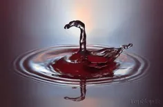 همچو قو