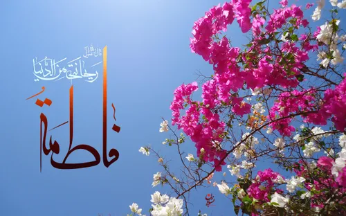 زیباترین گل وجود، «فاطمه(س)»، بر شاخسار نبوت شکفته است.