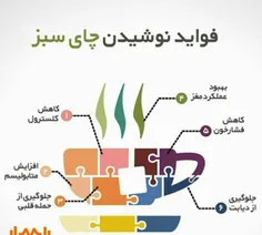 فواید نوشیدن چای سبز