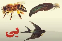 به چه اسمی اشاره داره؟