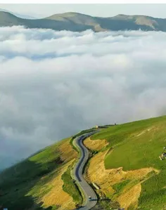 جاده‌ای که انسان