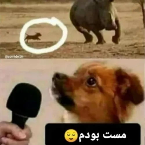 مست بوده😂