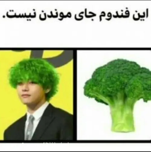 فندوم سمی😂😂