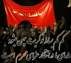 #ما_ملت_امام_حسینیم