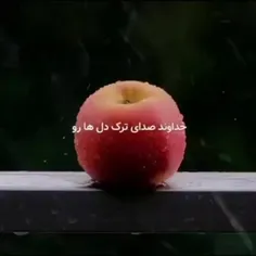 دل نشکنید که تاوان سختی 