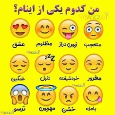 بنظرتون کودومم