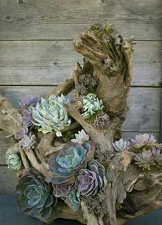 تبدیل شاخه های خشکیده به گلدان های زیبا 😍  #هنر #خلاقیت #