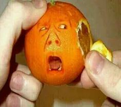 #پرتقال_و_دیگر_هیچ 😉 🍊  #خوراکی #ایده #هنر #خلاقیت #دکوری