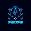 svb13svb