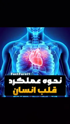 *پیج شگفت انگیز ویسگون*تشکرازلایک و حضورتون*