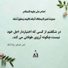 امام علی علیه السلام: