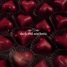dark red aesthetic🍷