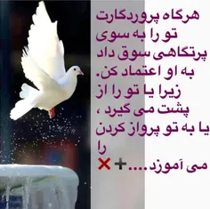 عکس نوشته ...