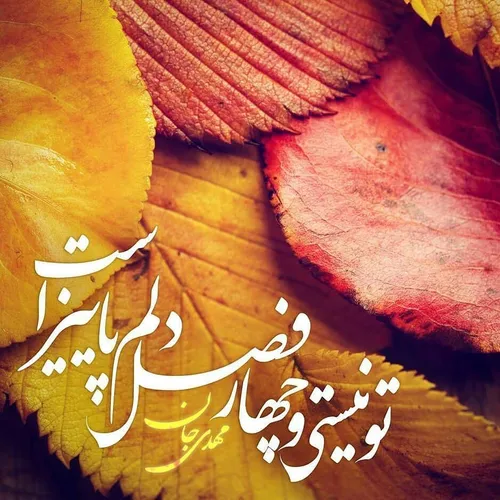 یا ابا صالح المهدی