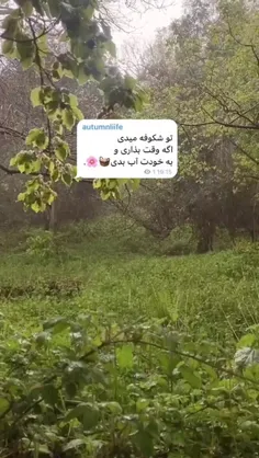 تو شکوفه میدی